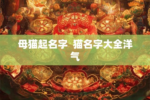 母猫起名字 猫名字大全洋气 母猫起名字 猫名字大全洋气