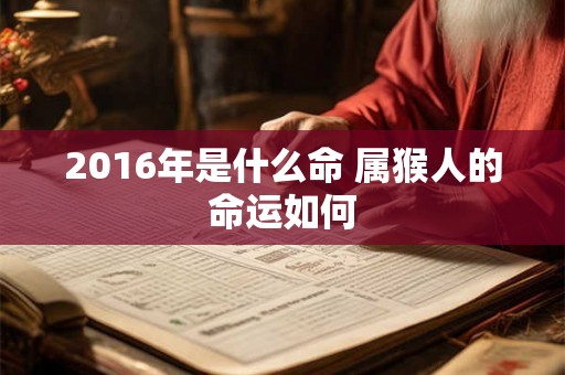 2016年是什么命 属猴人的命运如何 2016年是什么命 属猴人的命运如何