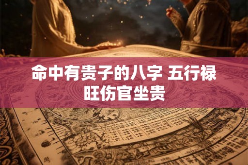 命中有贵子的八字 五行禄旺伤官坐贵