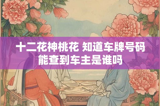 十二花神桃花 知道车牌号码能查到车主是谁吗 十二花神桃花 知道车牌号码能查到车主是谁吗