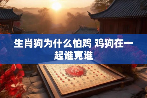 生肖狗为什么怕鸡 鸡狗在一起谁克谁 生肖狗为什么怕鸡 鸡狗在一起谁克谁