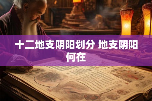 十二地支阴阳划分 地支阴阳何在 十二地支阴阳划分 地支阴阳何在