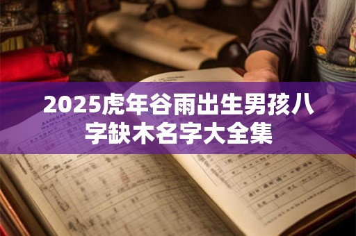 2025虎年谷雨出生男孩八字缺木名字大全集