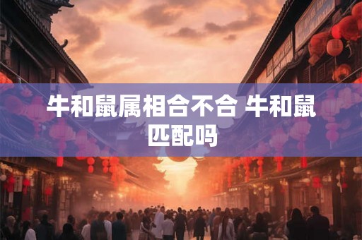 牛和鼠属相合不合 牛和鼠匹配吗 牛和鼠属相合不合 牛和鼠匹配吗