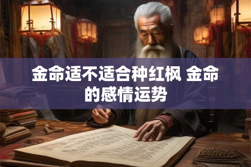 金命适不适合种红枫 金命的感情运势 金命适不适合种红枫 金命的感情运势