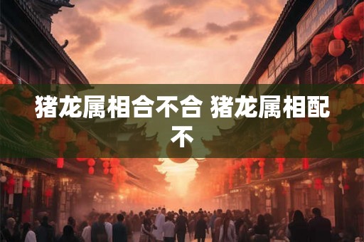 猪龙属相合不合 猪龙属相配不