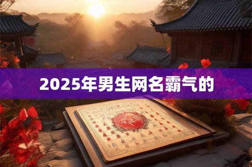 2025年男生网名霸气的 2025年男生网名霸气的