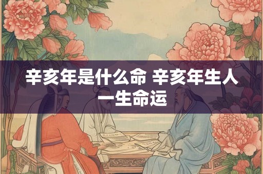 辛亥年是什么命 辛亥年生人一生命运 辛亥年是什么命 辛亥年生人一生命运