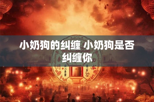 小奶狗的纠缠 小奶狗是否纠缠你 小奶狗的纠缠 小奶狗是否纠缠你