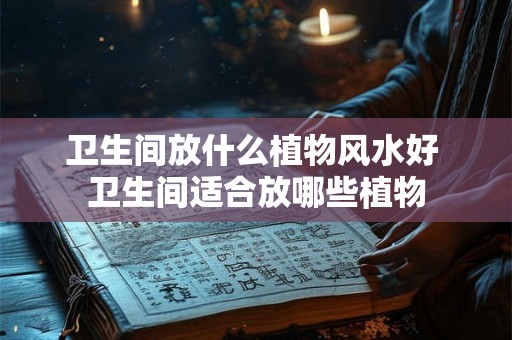 卫生间放什么植物风水好 卫生间适合放哪些植物 卫生间放什么植物风水好 卫生间适合放哪些植物