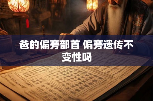 爸的偏旁部首 偏旁遗传不变性吗