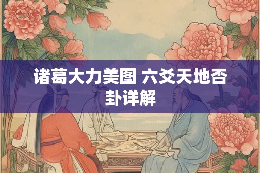 诸葛大力美图 六爻天地否卦详解