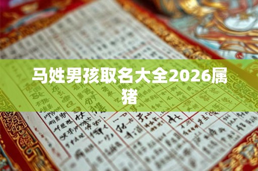 马姓男孩取名大全2026属猪 马姓男孩取名大全2026属猪