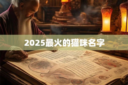 2025最火的猫咪名字 2025最火的猫咪名字