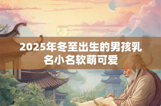 2025年冬至出生的男孩乳名小名软萌可爱 2025年冬至出生的男孩乳名小名软萌可爱