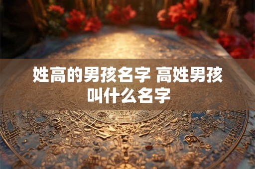 姓高的男孩名字 高姓男孩叫什么名字 姓高的男孩名字 高姓男孩叫什么名字