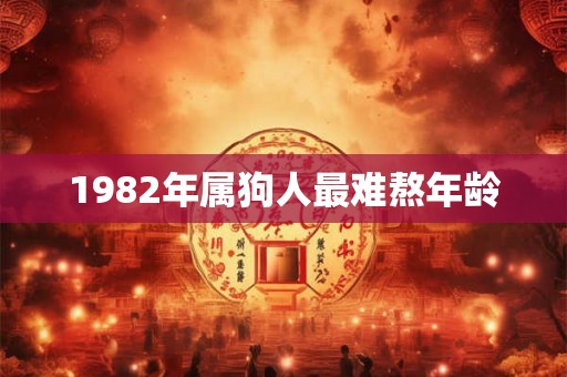 1982年属狗人最难熬年龄 1982年属狗人最难熬年龄