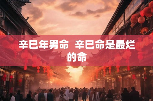 辛巳年男命 辛巳命是最烂的命 辛巳年男命 辛巳命是最烂的命