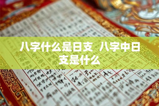 八字什么是日支  八字中日支是什么