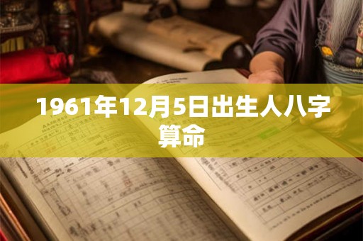 1961年12月5日出生人八字算命 1961年12月5日出生人八字算命