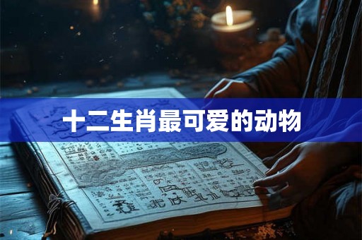 十二生肖最可爱的动物