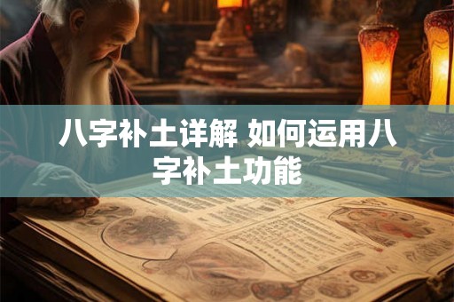 八字补土详解 如何运用八字补土功能 八字补土详解 如何运用八字补土功能