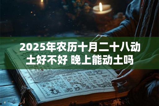 2025年农历十月二十八动土好不好 晚上能动土吗