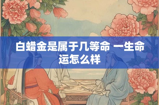 白蜡金是属于几等命 一生命运怎么样
