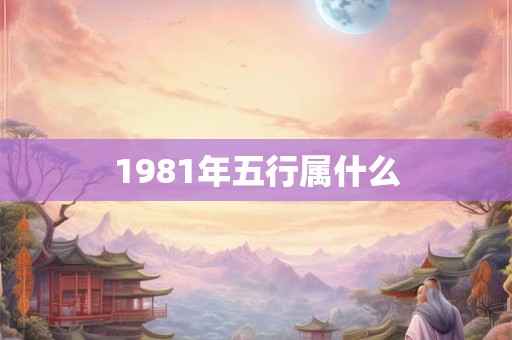 1981年五行属什么 1981年五行属什么