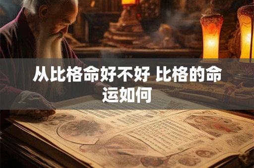 从比格命好不好 比格的命运如何 从比格命好不好 比格的命运如何