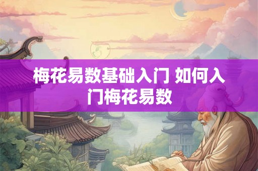 梅花易数基础入门 如何入门梅花易数