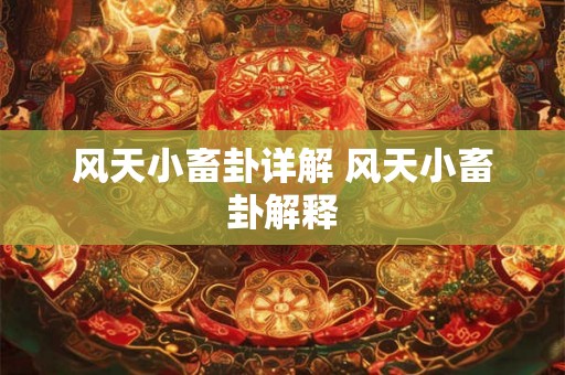 风天小畜卦详解 风天小畜卦解释 风天小畜卦详解 风天小畜卦解释