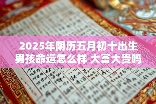 2025年阴历五月初十出生男孩命运怎么样 大富大贵吗 2025年阴历五月初十出生男孩命运怎么样 大富大贵吗