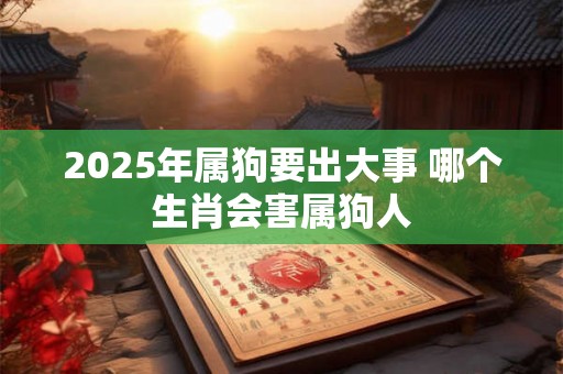 2025年属狗要出大事 哪个生肖会害属狗人 2025年属狗要出大事 哪个生肖会害属狗人