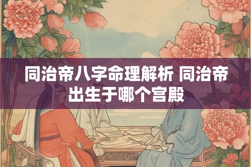 同治帝八字命理解析 同治帝出生于哪个宫殿