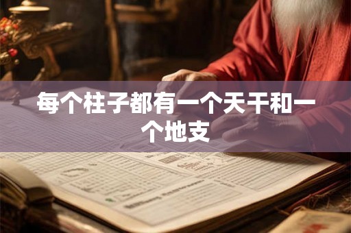 每个柱子都有一个天干和一个地支 每个柱子都有一个天干和一个地支