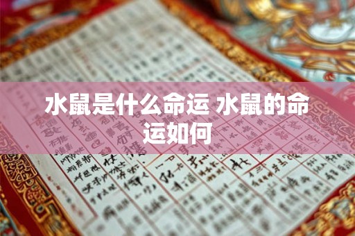 水鼠是什么命运 水鼠的命运如何