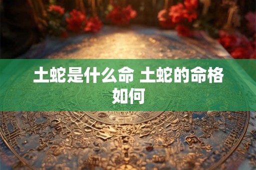 土蛇是什么命 土蛇的命格如何 土蛇是什么命 土蛇的命格如何