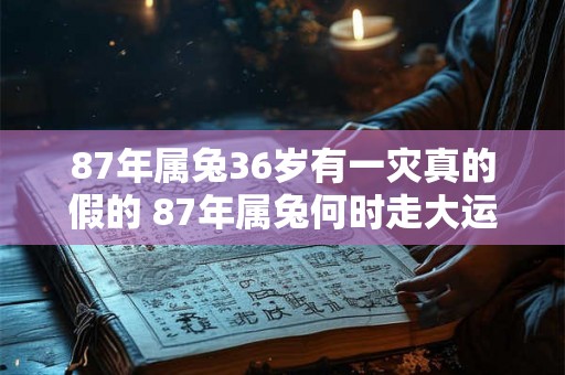87年属兔36岁有一灾真的假的 87年属兔何时走大运