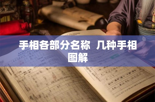 手相各部分名称  几种手相图解