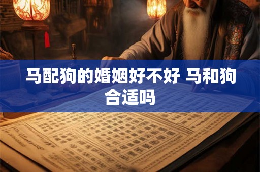 马配狗的婚姻好不好 马和狗合适吗