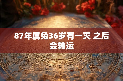 87年属兔36岁有一灾 之后会转运
