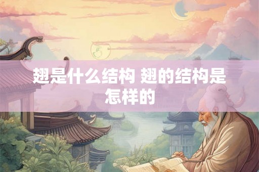 翅是什么结构 翅的结构是怎样的 翅是什么结构 翅的结构是怎样的