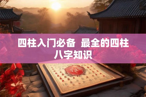 四柱入门必备  最全的四柱八字知识