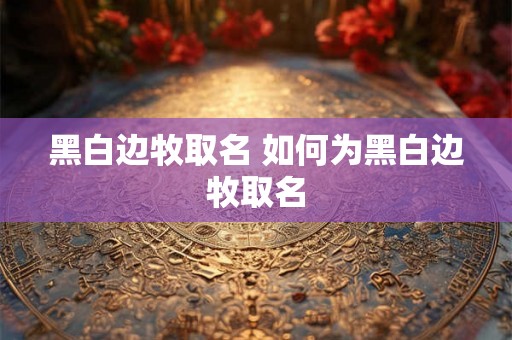 黑白边牧取名 如何为黑白边牧取名 黑白边牧取名 如何为黑白边牧取名