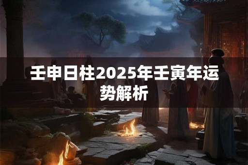 壬申日柱2025年壬寅年运势解析 壬申日柱2025年壬寅年运势解析