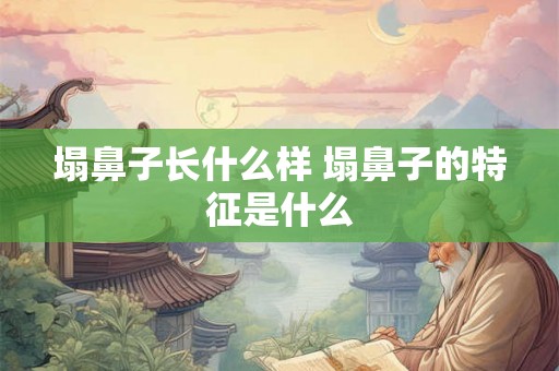塌鼻子长什么样 塌鼻子的特征是什么 塌鼻子长什么样 塌鼻子的特征是什么