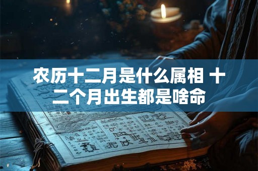 农历十二月是什么属相 十二个月出生都是啥命 农历十二月是什么属相 十二个月出生都是啥命
