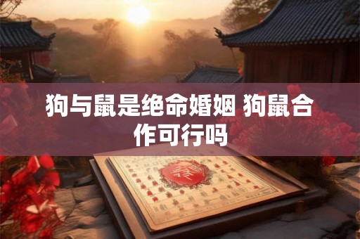 狗与鼠是绝命婚姻 狗鼠合作可行吗