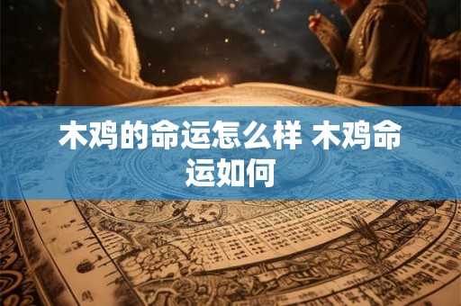木鸡的命运怎么样 木鸡命运如何 木鸡的命运怎么样 木鸡命运如何